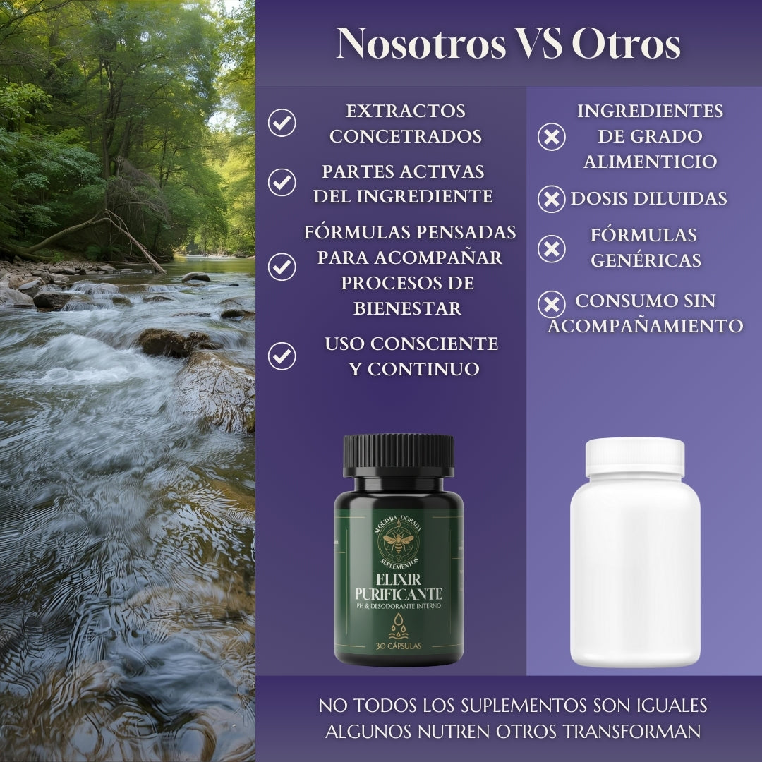 Elixir Purificante Alquimia Dorada | Detox Digestivo 30 Cáps